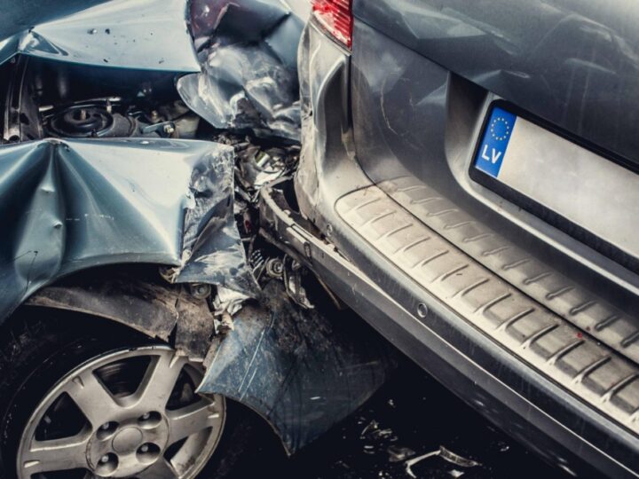 Tragiczna kolizja w Czarnowie: samochód kontra łoś. Jedna osoba w szpitalu, zwierzę nie przeżyło