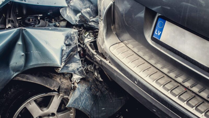 Tragiczna kolizja w Czarnowie: samochód kontra łoś. Jedna osoba w szpitalu, zwierzę nie przeżyło