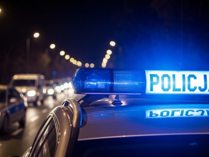 Uwaga kierowcy: dzikie zwierzęta mogą zaskoczyć na drodze!