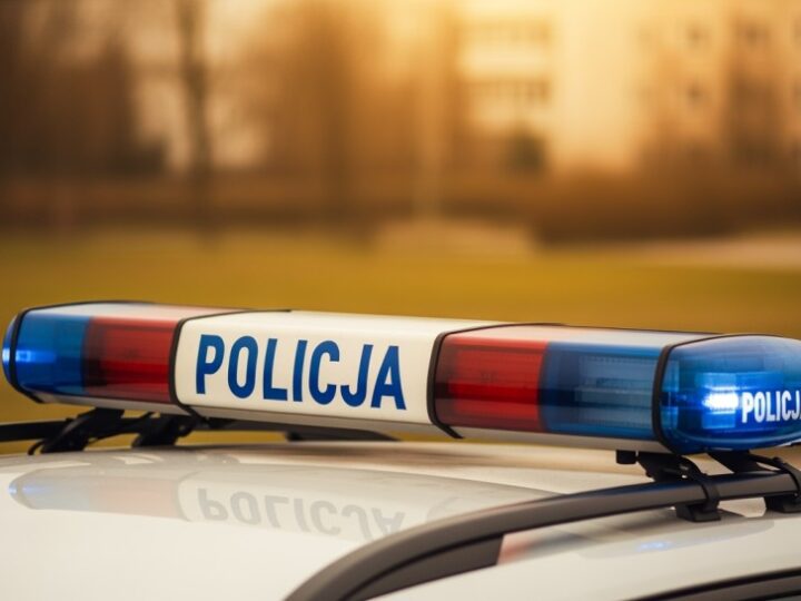 Włamywacz zatrzymany przez policję w Ostrołęce po kradzieży w lokalu usługowym