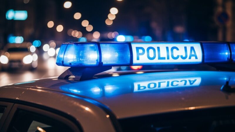 Zatrzymany po latach ukrywania się sprawca przestępstw seksualnych wobec dzieci