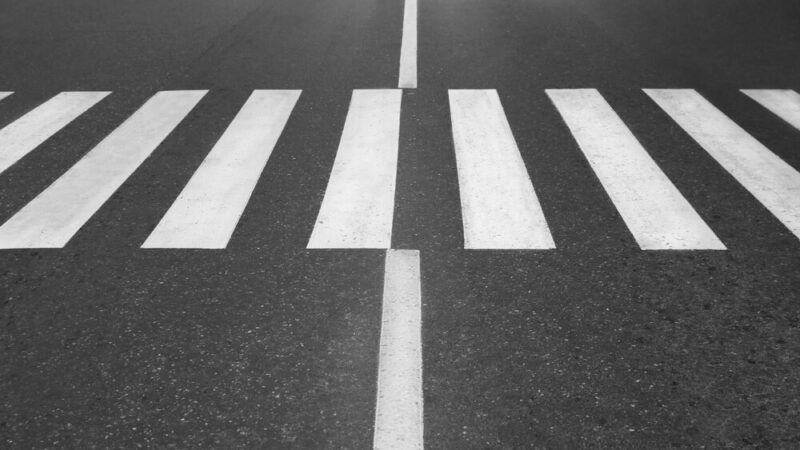 Wiosenne niebezpieczeństwo na drogach: Uważaj na dzikie zwierzęta!