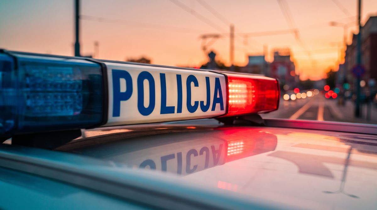 Uwaga na drodze – niebezpieczne spotkania z dziką zwierzyną